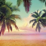 Painel fotográfico com foto de praia em miami