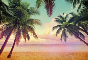 Painel fotográfico com foto de praia em miami