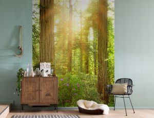 Ambiente Decorado Floresta Redwood- XXL2-044