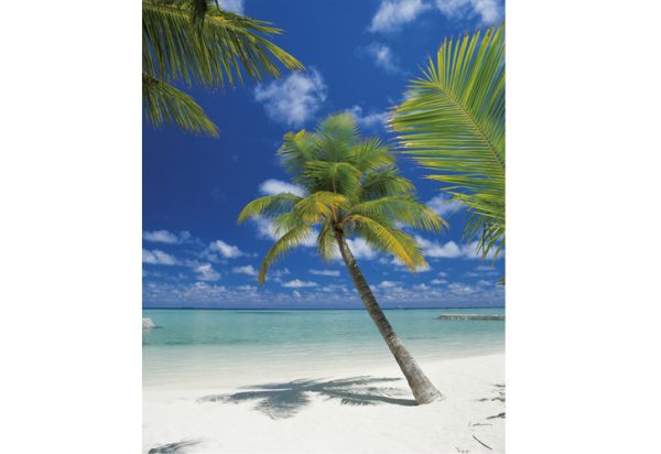 painel fotográfico de praia com coqueiros