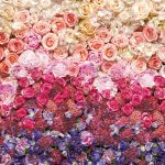 Painel Fotográfico Parede de rosas coloridas