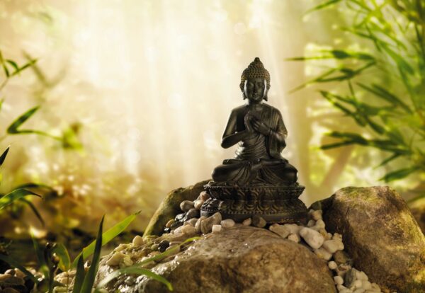 Painel Fotográfico Buddha - 1-610