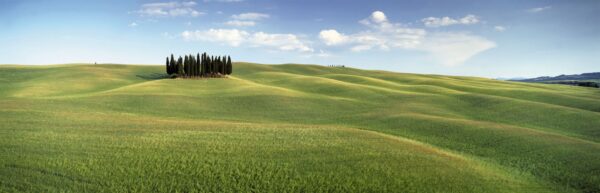 Painel Fotográfico Campo na Toscana - 4-715
