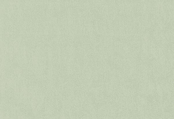 Papel de Parede Verde CLaro com Textura - 02256-70
