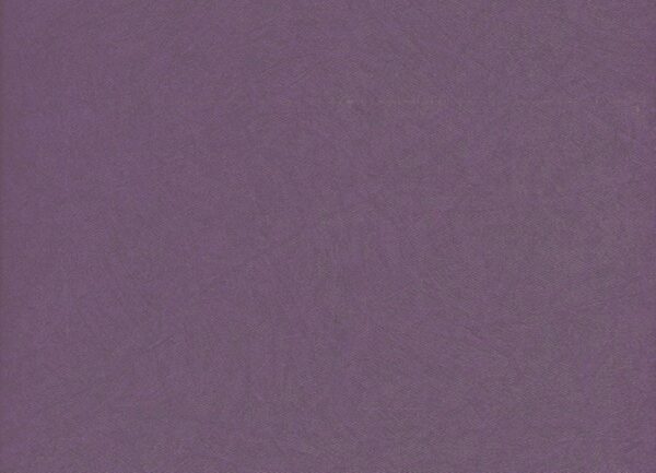 Papel de Parede Liso cor Roxo Malva