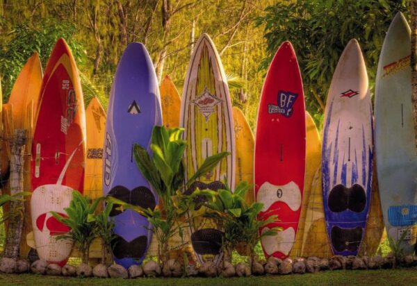 Painel Fotográfico Surf - 8-902