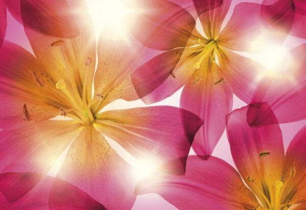 Painel Fotográfico Flor de Versão - 8-928