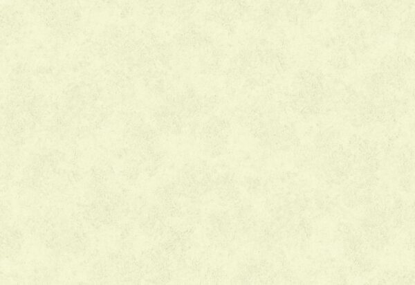 Papel de Parede Liso Verde Claro