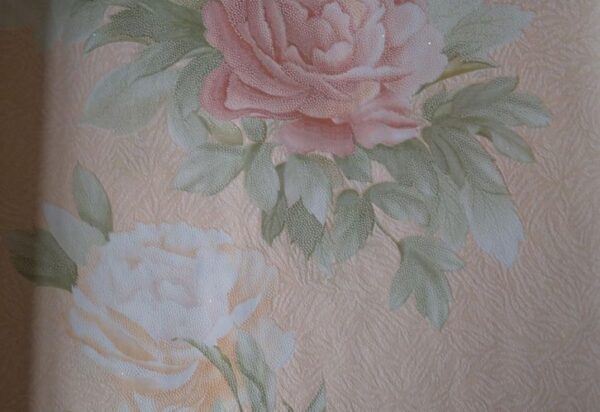 Papel de Parede Rosa cor Pêssego