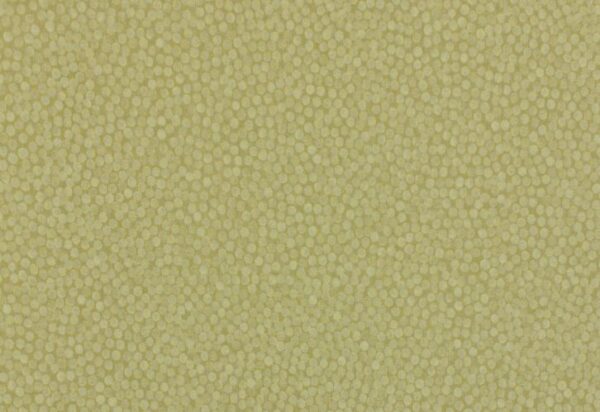 Papel de Parede Verde com Bolinhas