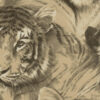 Papel de Parede Animal Print Tigre - 45036-10 - Image 2